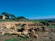 provincia di trapani - luoghi da visitare