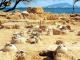 provincia di trapani - luoghi da visitare