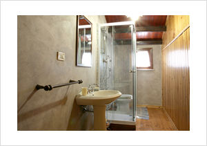 Bathroom with shower in B&B Triskele